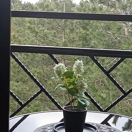 Apartament Breza 35 Lux & *