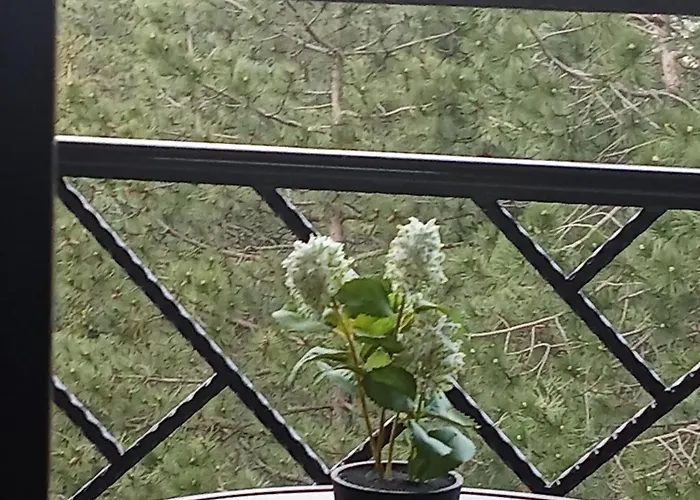 Lägenhet Breza 35 Lux & *