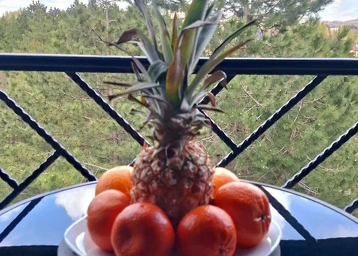 Breza 35 Lux & Zlatibor